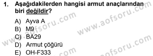 Bahçe Tarımı 2 Dersi 2013 - 2014 Yılı Tek Ders Sınav Soruları 1. Soru