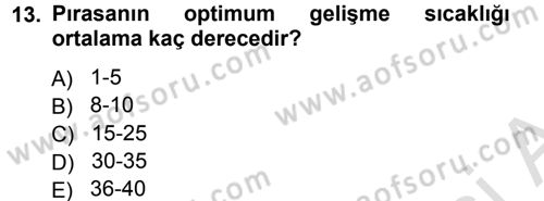 Bahçe Tarımı 2 Dersi 2013 - 2014 Yılı Tek Ders Sınav Soruları 13. Soru