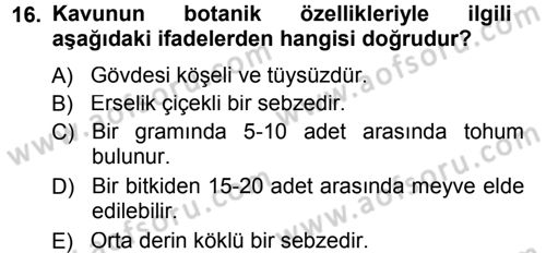 Bahçe Tarımı 2 Dersi 2013 - 2014 Yılı Tek Ders Sınav Soruları 16. Soru