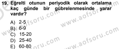 Bahçe Tarımı 2 Dersi 2013 - 2014 Yılı Tek Ders Sınav Soruları 19. Soru