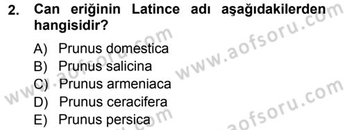 Bahçe Tarımı 2 Dersi 2013 - 2014 Yılı Tek Ders Sınav Soruları 2. Soru