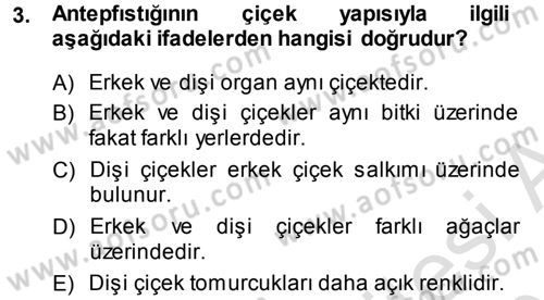 Bahçe Tarımı 2 Dersi 2013 - 2014 Yılı Tek Ders Sınav Soruları 3. Soru