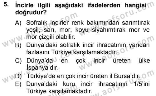 Bahçe Tarımı 2 Dersi 2013 - 2014 Yılı Tek Ders Sınav Soruları 5. Soru