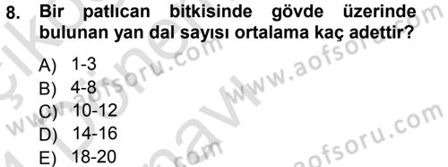 Bahçe Tarımı 2 Dersi 2013 - 2014 Yılı Tek Ders Sınav Soruları 8. Soru