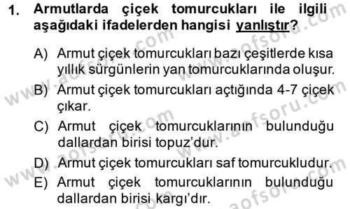 Bahçe Tarımı 2 Dersi 2014 - 2015 Yılı (Vize) Ara Sınav Soruları 1. Soru