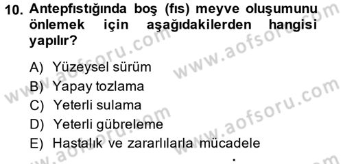 Bahçe Tarımı 2 Dersi 2014 - 2015 Yılı (Vize) Ara Sınav Soruları 10. Soru