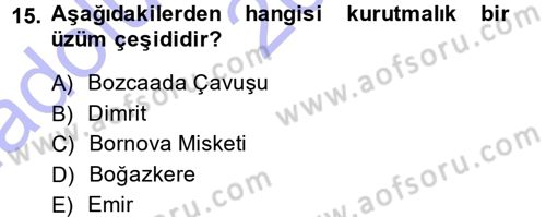 Bahçe Tarımı 2 Dersi 2014 - 2015 Yılı (Vize) Ara Sınav Soruları 15. Soru
