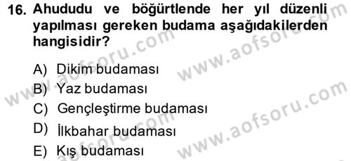Bahçe Tarımı 2 Dersi 2014 - 2015 Yılı (Vize) Ara Sınav Soruları 16. Soru