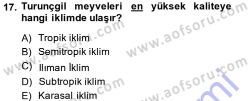 Bahçe Tarımı 2 Dersi 2014 - 2015 Yılı (Vize) Ara Sınav Soruları 17. Soru