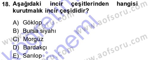 Bahçe Tarımı 2 Dersi 2014 - 2015 Yılı (Vize) Ara Sınav Soruları 18. Soru