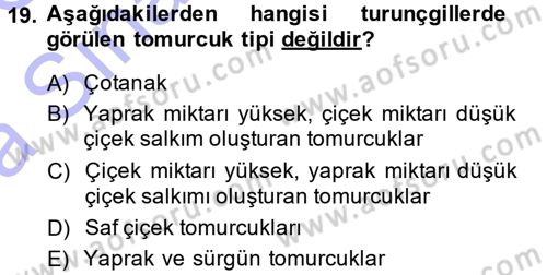 Bahçe Tarımı 2 Dersi 2014 - 2015 Yılı (Vize) Ara Sınavı 19. Soru