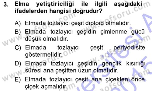 Bahçe Tarımı 2 Dersi 2014 - 2015 Yılı (Vize) Ara Sınav Soruları 3. Soru