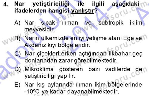 Bahçe Tarımı 2 Dersi 2014 - 2015 Yılı (Vize) Ara Sınav Soruları 4. Soru