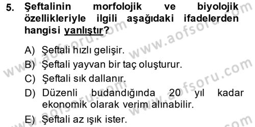 Bahçe Tarımı 2 Dersi 2014 - 2015 Yılı (Vize) Ara Sınav Soruları 5. Soru