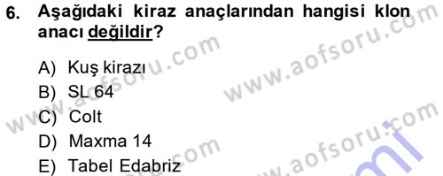 Bahçe Tarımı 2 Dersi 2014 - 2015 Yılı (Vize) Ara Sınavı 6. Soru