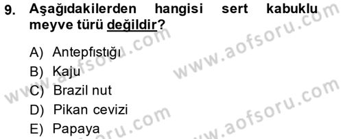 Bahçe Tarımı 2 Dersi 2014 - 2015 Yılı (Vize) Ara Sınav Soruları 9. Soru