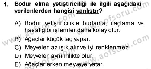 Bahçe Tarımı 2 Dersi 2014 - 2015 Yılı Tek Ders Sınav Soruları 1. Soru
