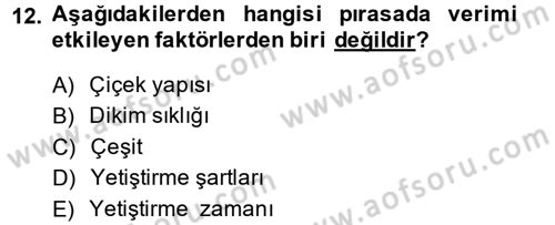 Bahçe Tarımı 2 Dersi 2014 - 2015 Yılı Tek Ders Sınav Soruları 12. Soru