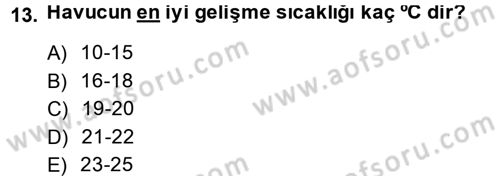 Bahçe Tarımı 2 Dersi 2014 - 2015 Yılı Tek Ders Sınav Soruları 13. Soru