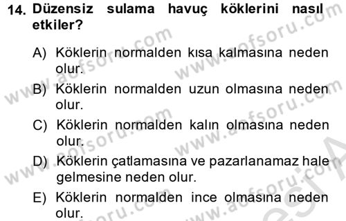 Bahçe Tarımı 2 Dersi 2014 - 2015 Yılı Tek Ders Sınav Soruları 14. Soru