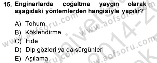 Bahçe Tarımı 2 Dersi 2014 - 2015 Yılı Tek Ders Sınav Soruları 15. Soru