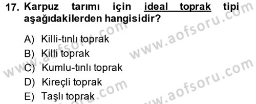 Bahçe Tarımı 2 Dersi 2014 - 2015 Yılı Tek Ders Sınav Soruları 17. Soru