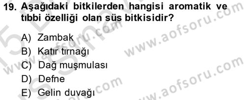 Bahçe Tarımı 2 Dersi 2014 - 2015 Yılı Tek Ders Sınavı 19. Soru