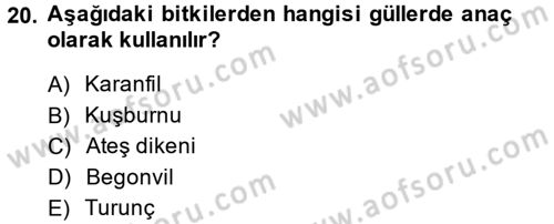 Bahçe Tarımı 2 Dersi 2014 - 2015 Yılı Tek Ders Sınavı 20. Soru