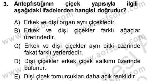 Bahçe Tarımı 2 Dersi 2014 - 2015 Yılı Tek Ders Sınav Soruları 3. Soru