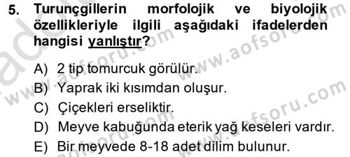 Bahçe Tarımı 2 Dersi 2014 - 2015 Yılı Tek Ders Sınav Soruları 5. Soru
