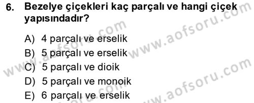 Bahçe Tarımı 2 Dersi 2014 - 2015 Yılı Tek Ders Sınav Soruları 6. Soru
