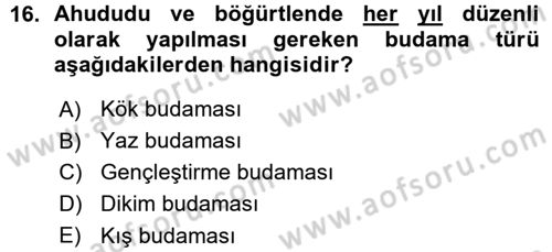 Bahçe Tarımı 2 Dersi 2015 - 2016 Yılı (Vize) Ara Sınavı 16. Soru