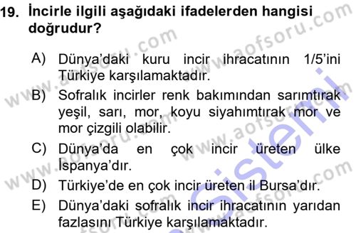 Bahçe Tarımı 2 Dersi 2015 - 2016 Yılı (Vize) Ara Sınavı 19. Soru