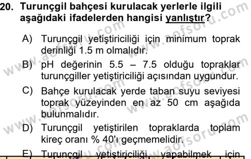 Bahçe Tarımı 2 Dersi 2015 - 2016 Yılı (Vize) Ara Sınavı 20. Soru