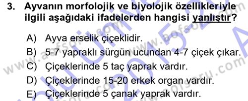 Bahçe Tarımı 2 Dersi 2015 - 2016 Yılı (Vize) Ara Sınavı 3. Soru