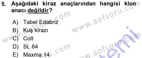 Bahçe Tarımı 2 Dersi 2015 - 2016 Yılı (Vize) Ara Sınavı 5. Soru