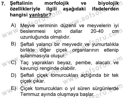 Bahçe Tarımı 2 Dersi 2015 - 2016 Yılı (Vize) Ara Sınavı 7. Soru