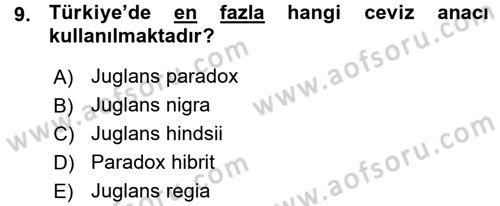 Bahçe Tarımı 2 Dersi 2015 - 2016 Yılı (Vize) Ara Sınavı 9. Soru