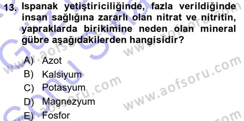 Bahçe Tarımı 2 Dersi 2015 - 2016 Yılı (Final) Dönem Sonu Sınav Soruları 13. Soru