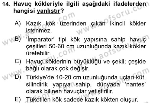 Bahçe Tarımı 2 Dersi 2015 - 2016 Yılı (Final) Dönem Sonu Sınav Soruları 14. Soru