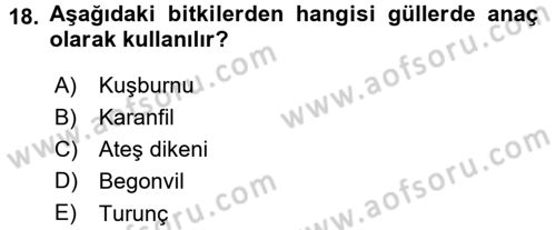Bahçe Tarımı 2 Dersi 2015 - 2016 Yılı (Final) Dönem Sonu Sınav Soruları 18. Soru