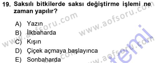 Bahçe Tarımı 2 Dersi 2015 - 2016 Yılı (Final) Dönem Sonu Sınav Soruları 19. Soru
