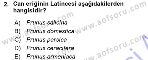 Bahçe Tarımı 2 Dersi 2015 - 2016 Yılı (Final) Dönem Sonu Sınav Soruları 2. Soru