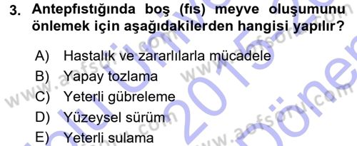 Bahçe Tarımı 2 Dersi 2015 - 2016 Yılı (Final) Dönem Sonu Sınav Soruları 3. Soru
