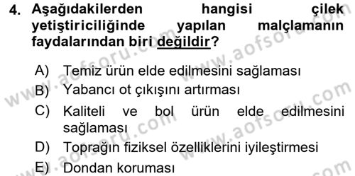 Bahçe Tarımı 2 Dersi 2015 - 2016 Yılı (Final) Dönem Sonu Sınav Soruları 4. Soru