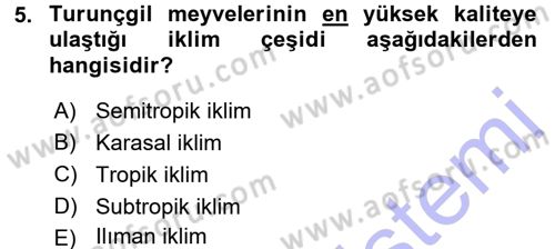 Bahçe Tarımı 2 Dersi 2015 - 2016 Yılı (Final) Dönem Sonu Sınav Soruları 5. Soru