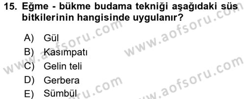 Bahçe Tarımı 2 Dersi 2016 - 2017 Yılı 3 Ders Sınavı 15. Soru