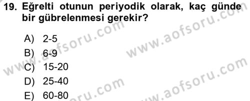 Bahçe Tarımı 2 Dersi 2016 - 2017 Yılı 3 Ders Sınavı 19. Soru