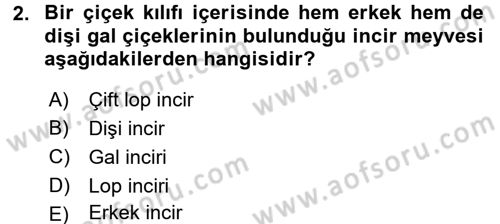 Bahçe Tarımı 2 Dersi 2016 - 2017 Yılı 3 Ders Sınavı 2. Soru