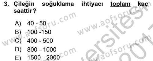 Bahçe Tarımı 2 Dersi 2016 - 2017 Yılı 3 Ders Sınavı 3. Soru